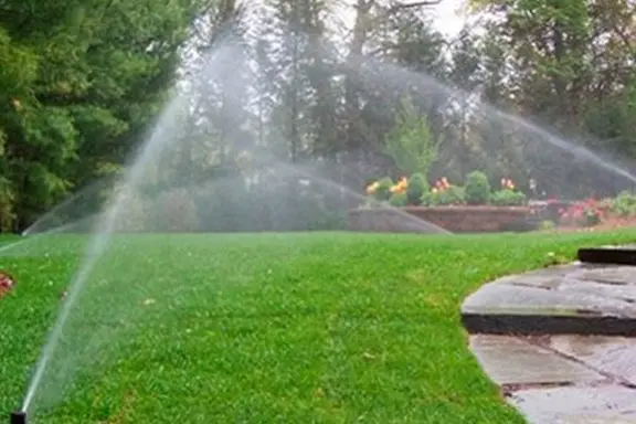 Ventajas de Tener un Sistema de Riego Adecuado en tu Jardín